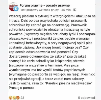 tallibantwister - Ciąg dalszy afery z psem #polska