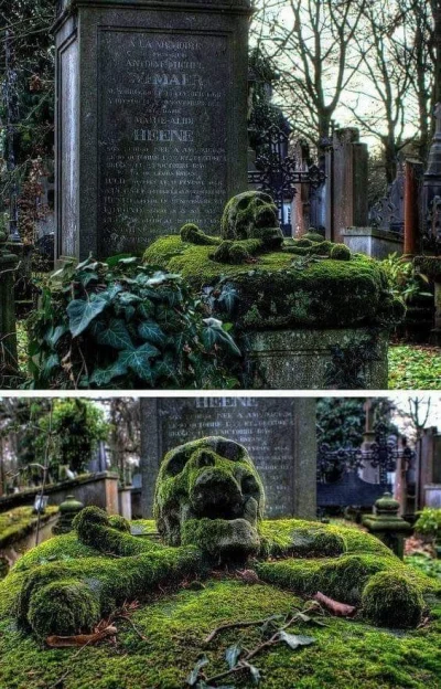 sropo - Piracki grób z początków XIX wieku znajdujący się w Belgii. Wiadomo jedynie, ...