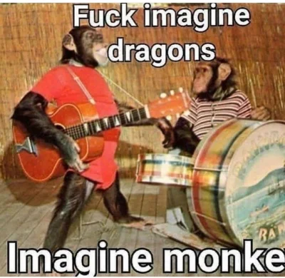 czlowiekzzksiezyca - imagine monke
#malpycontent