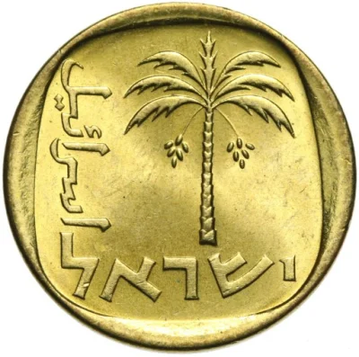 m.....o - Palma symbol Izraela i wojującej Judei
¯\\(ツ)\/¯
