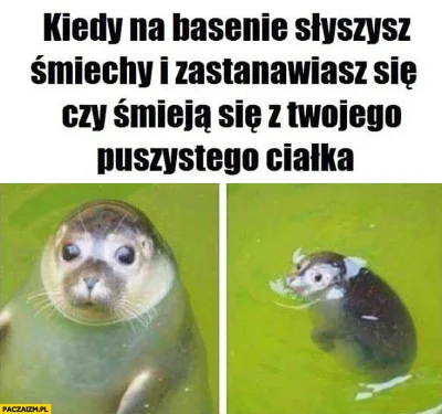Klaudiczek - Foczka to mój ulubiony mem (｡◕‿‿◕｡)

#heheszki #humorobrazkowy