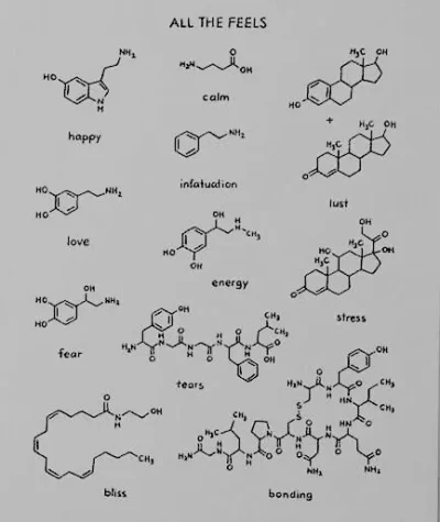 JoeShmoe - Wzory chemiczne na poszczególne uczucia. Z przymrużeniem oka. #ciekawostki...