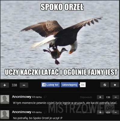 zdzichu-zarowa - Warto wspomnieć w tym wykopie o Spoko Orle, który oczy latać kaczki.