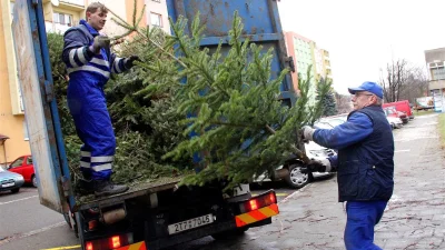 MalFunkTion - > No co się dorobił na oszustwach to jego.Vateusz powinnien poprosić o ...