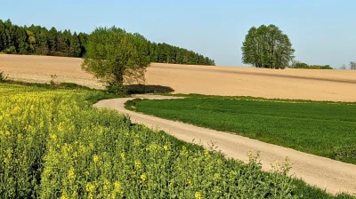 mucher - No powiem szczerze, że kwadraty dla samych kwadratów może mnie nie kręcą - a...