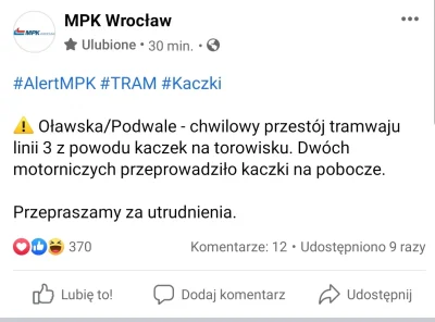 innnna - Typowy #wroclaw #mpkwroclaw #kaczki (ʘ‿ʘ)