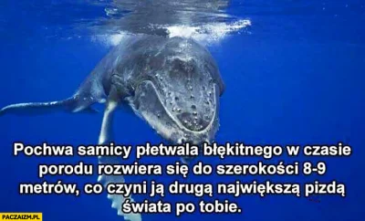 Argonzz - @kiedystobylyloginy: plusik leci za samokrytykę. Brawo! Jesteś lepszym czło...