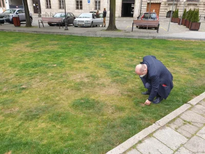 stefan_pmp - Prezydent #szczecin osobiście sprawdza czyj pies nasrał na trawnik