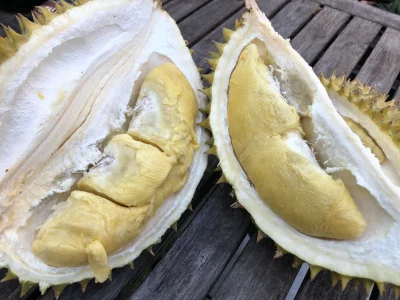 asdfghjkl - Om nom nom ( ͡° ͜ʖ ͡°) #!$%@? straszliwie ale to nic ( ͡° ͜ʖ ͡°) #durian ...