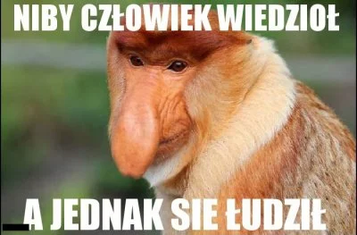 nunczako - @WykoPorts: