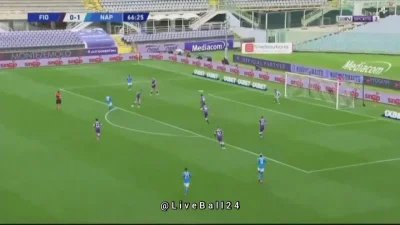 Mon_Amour - Piotr Zieliński, Fiorentina - Napoli 0:2
#mecz #seriea #golgif #golgifpl...