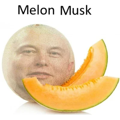 Hamza - Oto Melon Musk, szkalujesz, plusujesz
#kryptowaluty