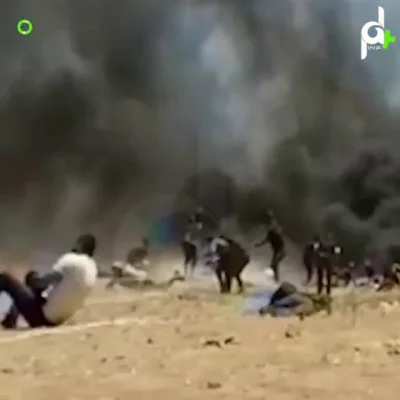 Mortdecai - Wojsko izraelskie strzela do lekarzy i rannych protestujących.

#izrael...