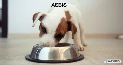widmo82 - Nie wiem kto dosypał do miski pół godziny temu, ale dziękuje :)
#asbis #ab...