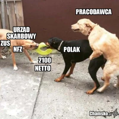 stilewski - > Polacy to jednak lubią być brani na ostro od tyłu.

@JestemD: potężna...