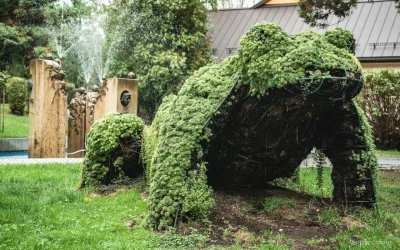 rudeiczarne - Wracamy z powrotem na Podkarpackie szlaki! Wcale nas nie dziwi, że pols...