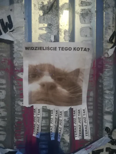 Sancho_Asnap - Widzieliście go? Znalazłem to w okolicach pasażu Zielińskiego we #wroc...