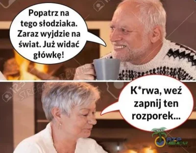 srogie_ciasteczko - #grazynacore #humorobrazkowy #humor #harold