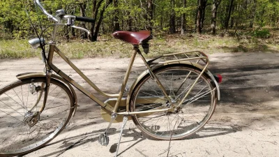 TSP89 - Dzień dobry rowerowe świry.

Dziś zakupiłam rower, klasyczny holender za kilk...
