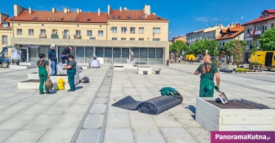 staszek_tulejka - @Marekexp: Aktualnie władze miasta łatają brak zieleni jak mogą, oc...