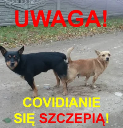 MarkUK - Wiosna czas szczepień!