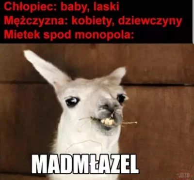 guzi - #heheszki #humorobrazkowy