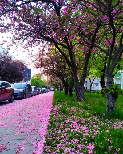 jmuhha - Poznań, choć na pierwszy rzut oka wydaje się, że to Tokio

#poznan

fot....