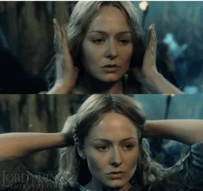 Trzesidzida - Kiedy Aragorn powie że miał #!$%@? dzień i już nic tego nie zmieni

#wl...