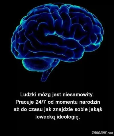 januszzczarnolasu - @profos72: Ideologia