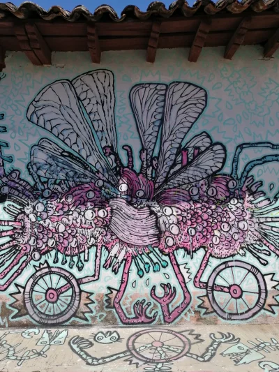 nomadbynature - Murale w San Cristobal - niektóre z nich powstały z rąk artystów będą...