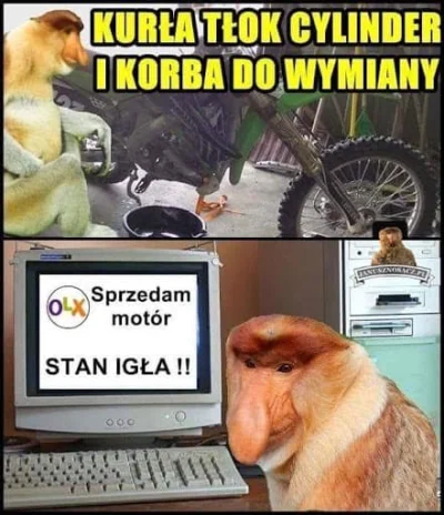 p.....y - I dobrze motórzyści się znaleźli