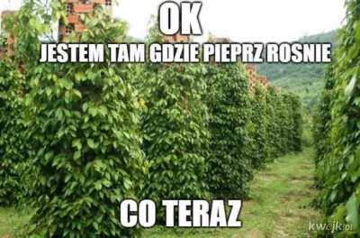 PIAN--A_A--KTYWNA - #heheszki #niesmiesznememy #humorobrazkowy