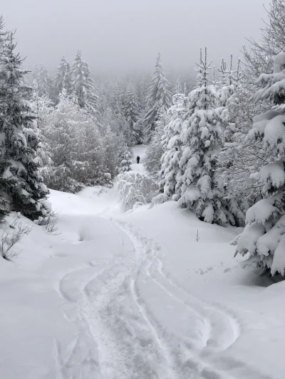 doktor42 - Już tęsknie