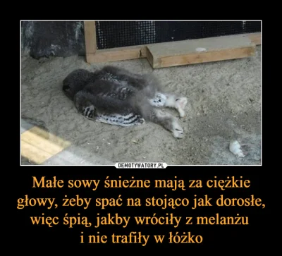 Afrobiker - Niestety nie udało mi się go znaleźć ale na pocieszenie mam to