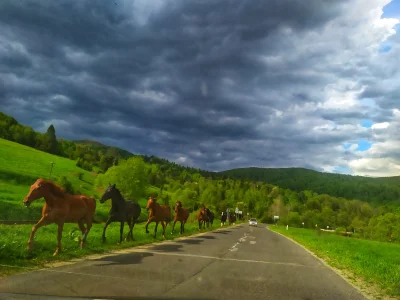 peradon - W drodze do Cisnej #bieszczady #mojezdjecie #xiaominote7