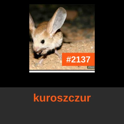 boukalikrates - @kuroszczur: to Ty zajmujesz dzisiaj miejsce #2137 w rankingu! 
#codz...