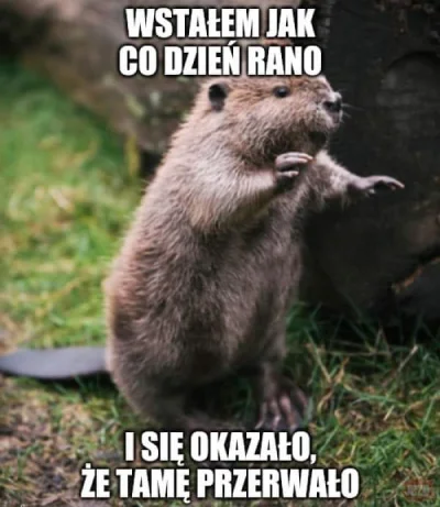 Adamerio - #heheszki #humorobrazkowy