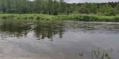 rowerowa_panienka - Natura. Śpiew ptaków, szum strumyka i ta cisza.
#kajaki