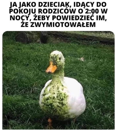 czterypalcewnatalce - #heheszki #takbylo #humorobrazkowy