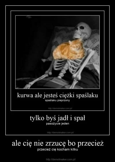 s.....j - #heheszki #humorobrazkowy #szkieletory #koty