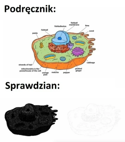 Lolenson1888 - @Dominiko_: Ćwiczeniówki z angielskiego to jeszcze nic. Najlepsze były...