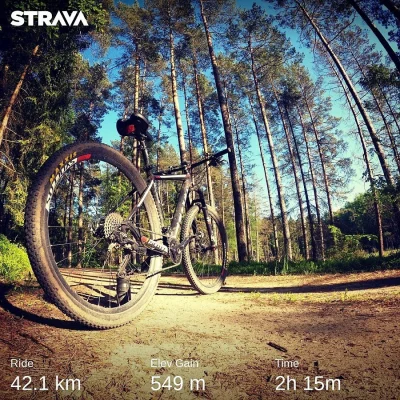 reddin - 273 497 + 42 = 273 539

Pustki w lesie a jutro wolne.

#rowerowyrownik #mtb ...