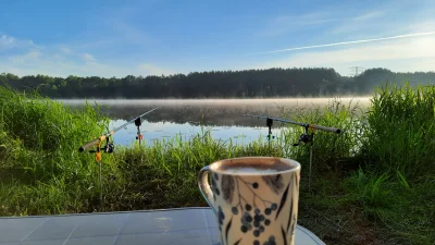 NiebieskaOsa - Dzień dobry Mirki i Mirabelki (｡◕‿‿◕｡) pogoda dopisuje więc razem z @R...