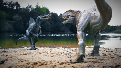 rales - #paleontologia #dinozaury

fot. Filip Kazimierski