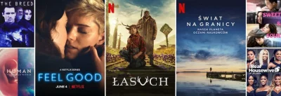 upflixpl - Łasuch i inne dzisiejsze premiery w Netflix Polska – dodano 7 tytułów!

...