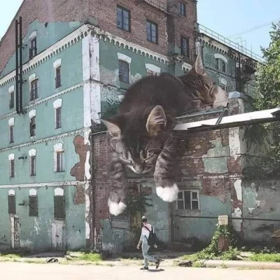 myszczur - Nowy Orlean #kot #koty #mural #streetart