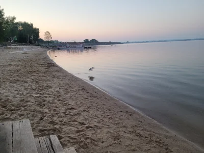 Niedzwiadek_bambusowy - Uciekłam z panieńskiego na wschód słońca i jest w pytę