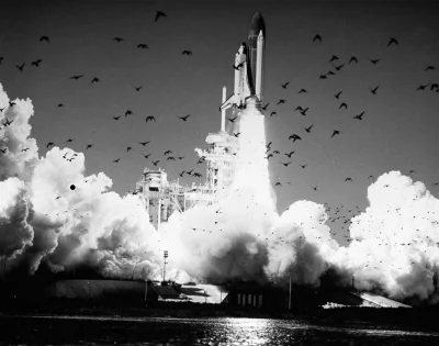 myrmekochoria - Start misji Challenger, 28 stycznia, 1986 roku. 

#starszezwoje - t...