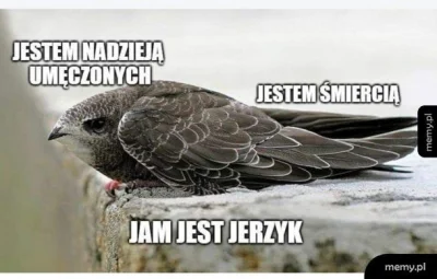 Jariii - Jerzyki to młot na komary ( ͡° ʖ̯ ͡°)