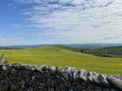 DADIKUL - #fotografia #natura #uk